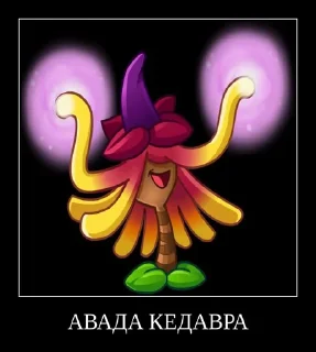 🪄