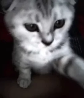 🥰
