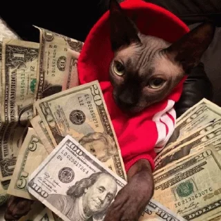 💶
