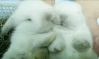 😘