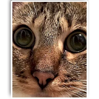 😜