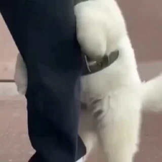 🤩