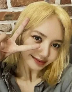 ✌️