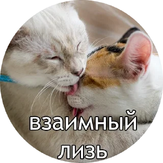 😚