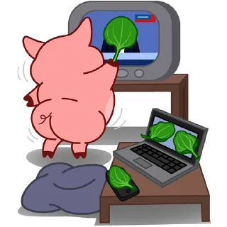📺