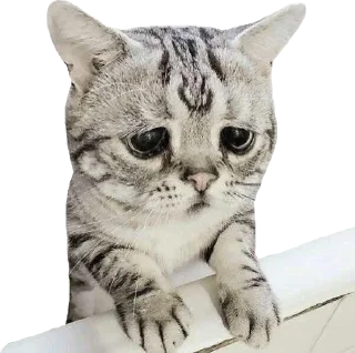😥