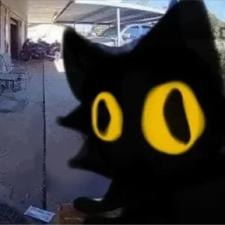 😳