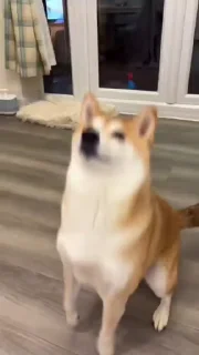 😄