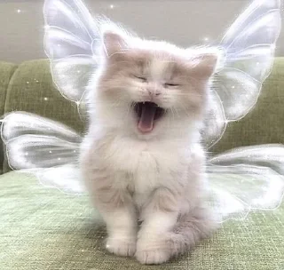 🎀