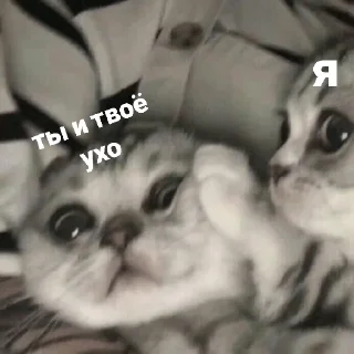 💀