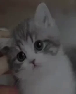 😓