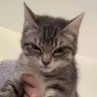 😡