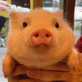 😌