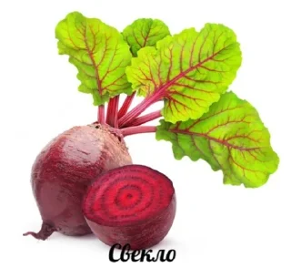 🧅