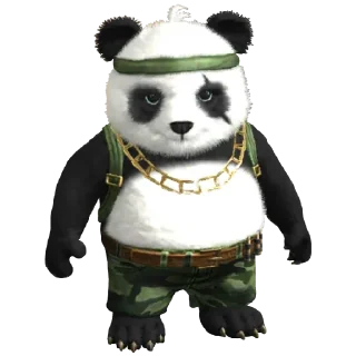 🐼