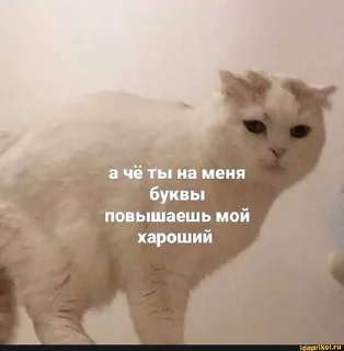 🗿