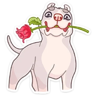 🌹