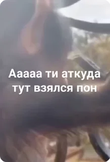 😱