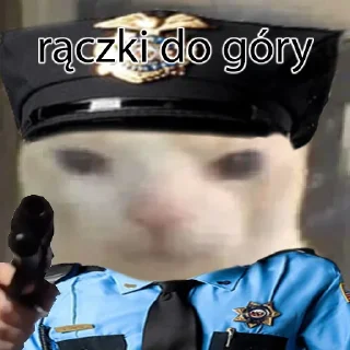 👮‍♂️