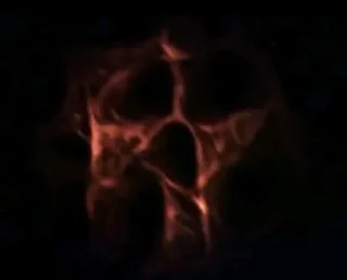 ☠️