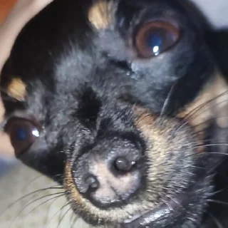 🤣
