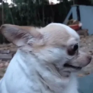 😒