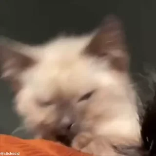 ☺️