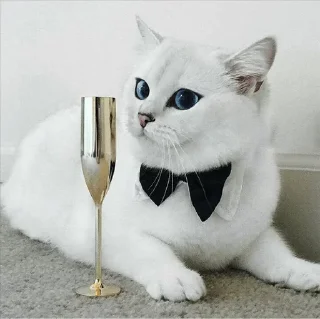 💙