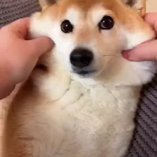 😊