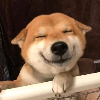 ☺️