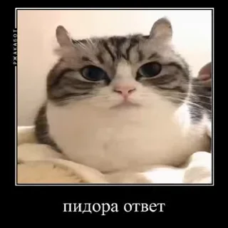 😬