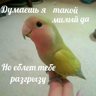 😊