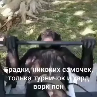 🤩