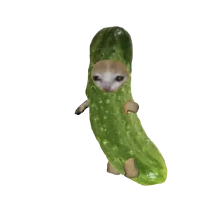 🥒