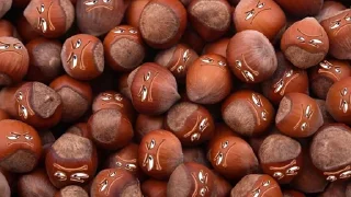 🌰