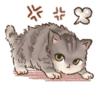 🐱
