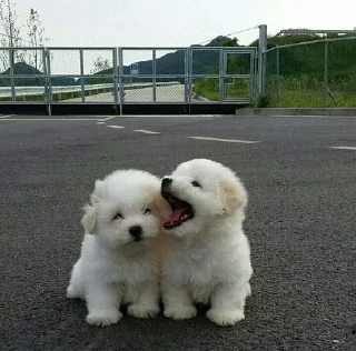 💕