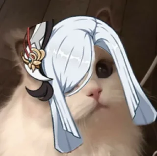 😺