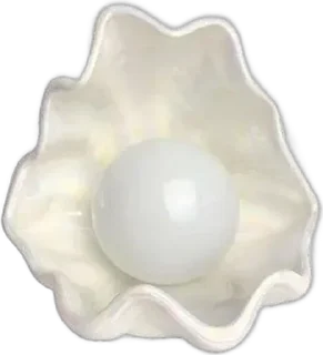 🌟