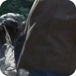 🌟