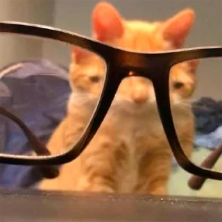 🤓