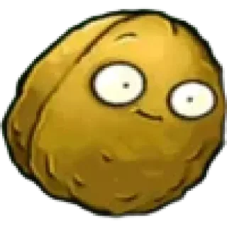 🌰