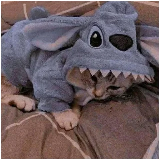 🧃