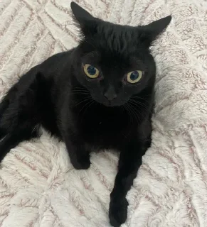 🤨