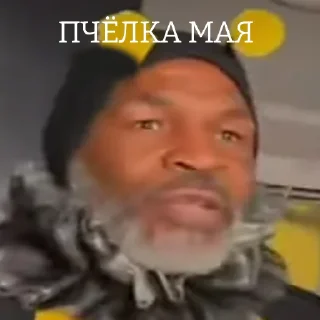 🐝