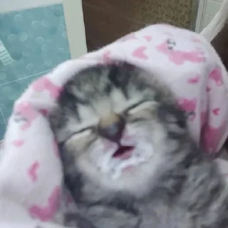 😴