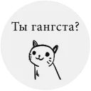 😎