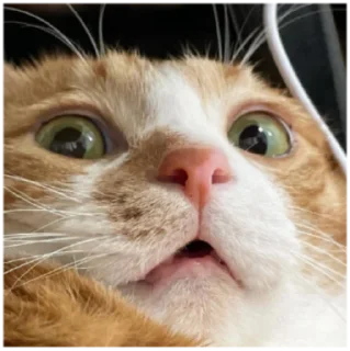 😯