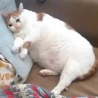 😄
