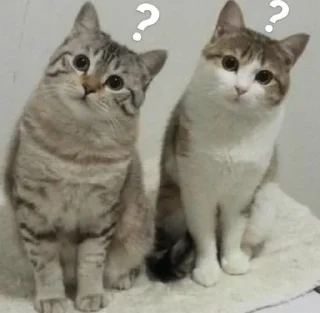 ❔